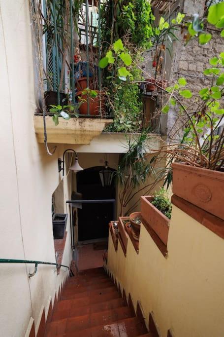 The San Gregorio Armeno Apartment By Houseinเนเปิลส์ ภายนอก รูปภาพ